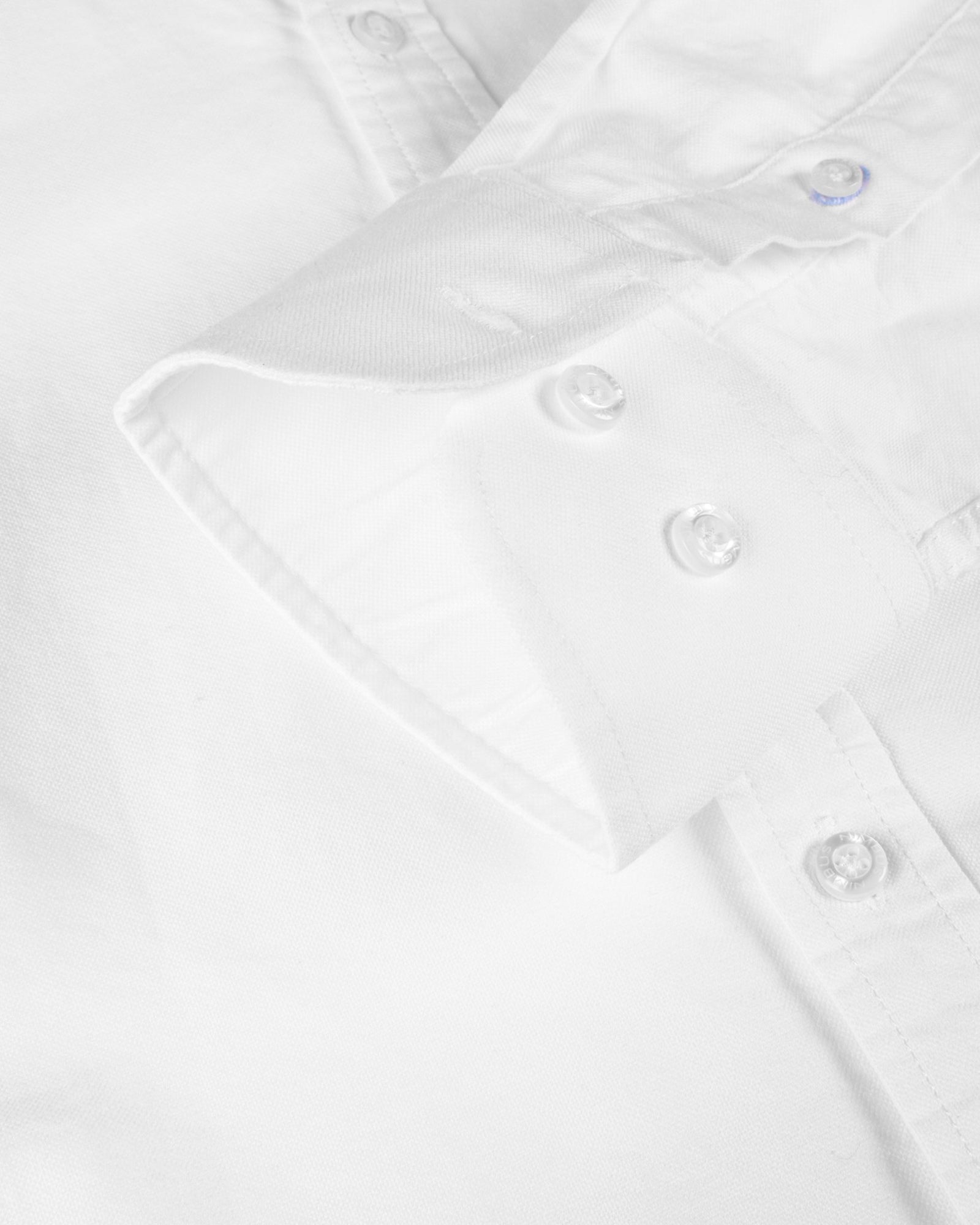 Rochester Woman White Back