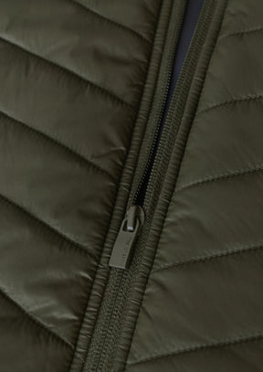 BENT M Olive 53